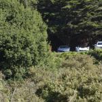 cambria_259 (November 03, 2018)